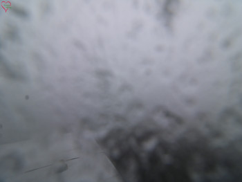 Snímek 17.11.2025 v 12:15