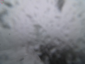 Snímek 17.11.2025 v 12:45