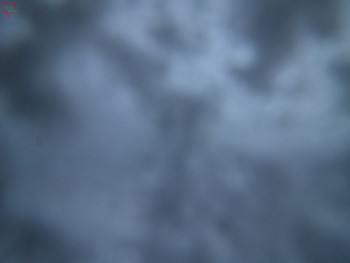 Snímek 18.11.2025 v 06:30