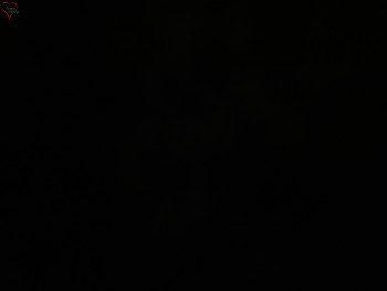 Snímek 22.11.2025 v 00:15