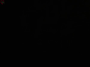 Rozhledna Poledník - Rozhledna Poledník - 23.12.2025 v 06:15 Rozhledna Poledník - Rozhledna Poledník - 23.12.2025 v 06:15