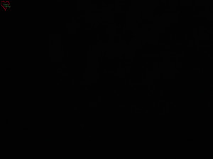 Rozhledna Poledník - Rozhledna Poledník - 23.12.2025 v 06:30 Rozhledna Poledník - Rozhledna Poledník - 23.12.2025 v 06:30