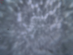 Rozhledna Poledník - Rozhledna Poledník - 23.12.2025 v 10:30 Rozhledna Poledník - Rozhledna Poledník - 23.12.2025 v 10:30