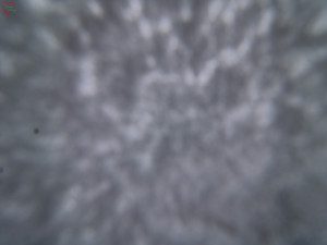 Rozhledna Poledník - Rozhledna Poledník - 23.12.2025 v 11:15 Rozhledna Poledník - Rozhledna Poledník - 23.12.2025 v 11:15