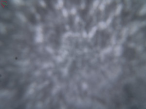 Rozhledna Poledník - Rozhledna Poledník - 23.12.2025 v 11:30 Rozhledna Poledník - Rozhledna Poledník - 23.12.2025 v 11:30