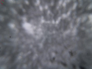 Rozhledna Poledník - Rozhledna Poledník - 23.12.2025 v 12:30 Rozhledna Poledník - Rozhledna Poledník - 23.12.2025 v 12:30