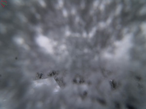 Rozhledna Poledník - Rozhledna Poledník - 23.12.2025 v 13:15 Rozhledna Poledník - Rozhledna Poledník - 23.12.2025 v 13:15