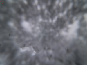 Rozhledna Poledník - Rozhledna Poledník - 23.12.2025 v 13:30 Rozhledna Poledník - Rozhledna Poledník - 23.12.2025 v 13:30