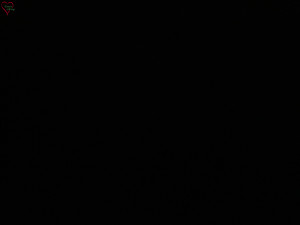 Rozhledna Poledník - Rozhledna Poledník - 23.12.2025 v 20:15 Rozhledna Poledník - Rozhledna Poledník - 23.12.2025 v 20:15