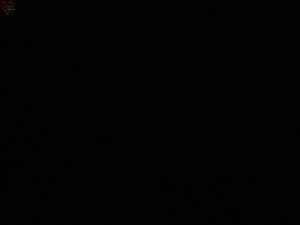 Rozhledna Poledník - Rozhledna Poledník - 23.12.2025 v 20:30 Rozhledna Poledník - Rozhledna Poledník - 23.12.2025 v 20:30