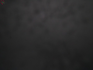 Rozhledna Poledník - Rozhledna Poledník - 29.12.2025 v 22:45 Rozhledna Poledník - Rozhledna Poledník - 29.12.2025 v 22:45