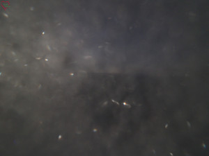 Rozhledna Poledník - Rozhledna Poledník - 31.12.2025 v 04:15 Rozhledna Poledník - Rozhledna Poledník - 31.12.2025 v 04:15