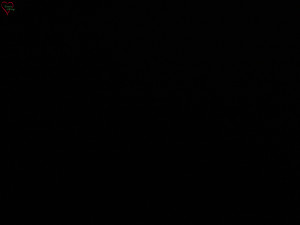 Rozhledna Poledník - Rozhledna Poledník - 13.2.2026 v 00:15 Rozhledna Poledník - Rozhledna Poledník - 13.2.2026 v 00:15