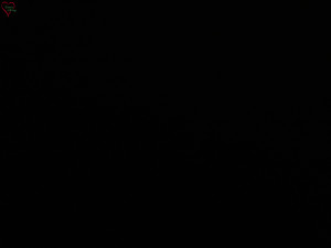 Rozhledna Poledník - Rozhledna Poledník - 13.2.2026 v 02:15 Rozhledna Poledník - Rozhledna Poledník - 13.2.2026 v 02:15