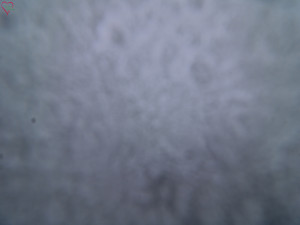 Rozhledna Poledník - Rozhledna Poledník - 13.2.2026 v 08:45 Rozhledna Poledník - Rozhledna Poledník - 13.2.2026 v 08:45