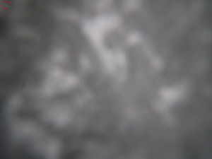 Rozhledna Poledník - Rozhledna Poledník - 31.3.2026 v 00:30 Rozhledna Poledník - Rozhledna Poledník - 31.3.2026 v 00:30