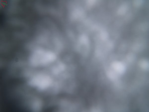 Rozhledna Poledník - Rozhledna Poledník - 31.3.2026 v 07:30 Rozhledna Poledník - Rozhledna Poledník - 31.3.2026 v 07:30