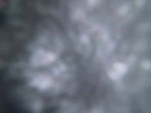 Rozhledna Poledník - Rozhledna Poledník - 31.3.2026 v 07:45 Rozhledna Poledník - Rozhledna Poledník - 31.3.2026 v 07:45