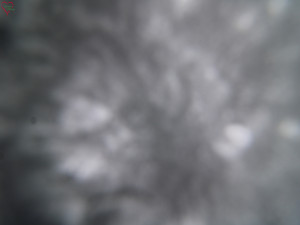 Rozhledna Poledník - Rozhledna Poledník - 31.3.2026 v 08:15 Rozhledna Poledník - Rozhledna Poledník - 31.3.2026 v 08:15