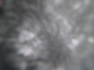 Rozhledna Poledník - Rozhledna Poledník - 31.3.2026 v 08:30 Rozhledna Poledník - Rozhledna Poledník - 31.3.2026 v 08:30