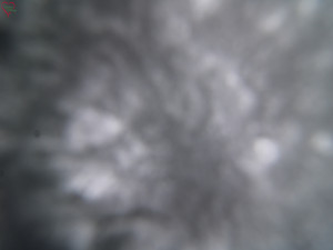 Rozhledna Poledník - Rozhledna Poledník - 31.3.2026 v 08:45 Rozhledna Poledník - Rozhledna Poledník - 31.3.2026 v 08:45