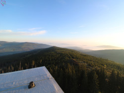 Rozhledna Poledník