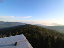 Rozhledna Poledník