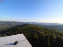 Rozhledna Poledník