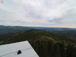 Rozhledna Poledník