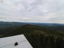 Rozhledna Poledník