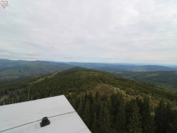 Rozhledna Poledník