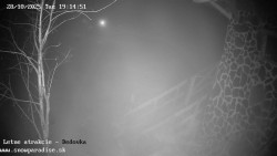 Dětská lyžařská školka