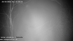 Dětská lyžařská školka