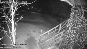 Snowparadise Veľká Rača - Dětská lyžařská školka - 29.10.2025 v 01:30 Snowparadise Veľká Rača - Dětská lyžařská školka - 29.10.2025 v 01:30