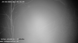 Dětská lyžařská školka