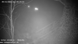 Dětská lyžařská školka