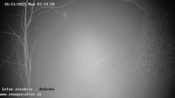 Dětská lyžařská školka