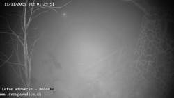 Dětská lyžařská školka