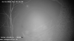 Dětská lyžařská školka