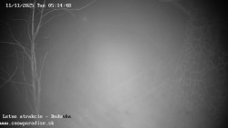 Dětská lyžařská školka