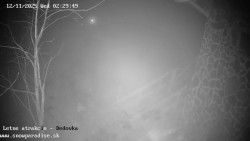 Dětská lyžařská školka