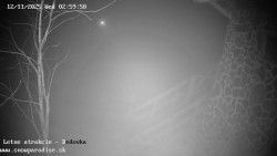 Dětská lyžařská školka