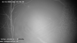 Dětská lyžařská školka