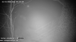 Dětská lyžařská školka