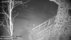 Dětská lyžařská školka