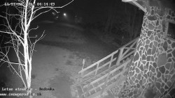 Dětská lyžařská školka