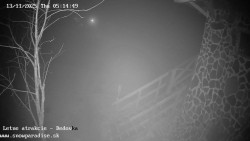 Dětská lyžařská školka