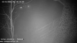 Dětská lyžařská školka