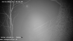 Dětská lyžařská školka