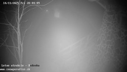 Dětská lyžařská školka